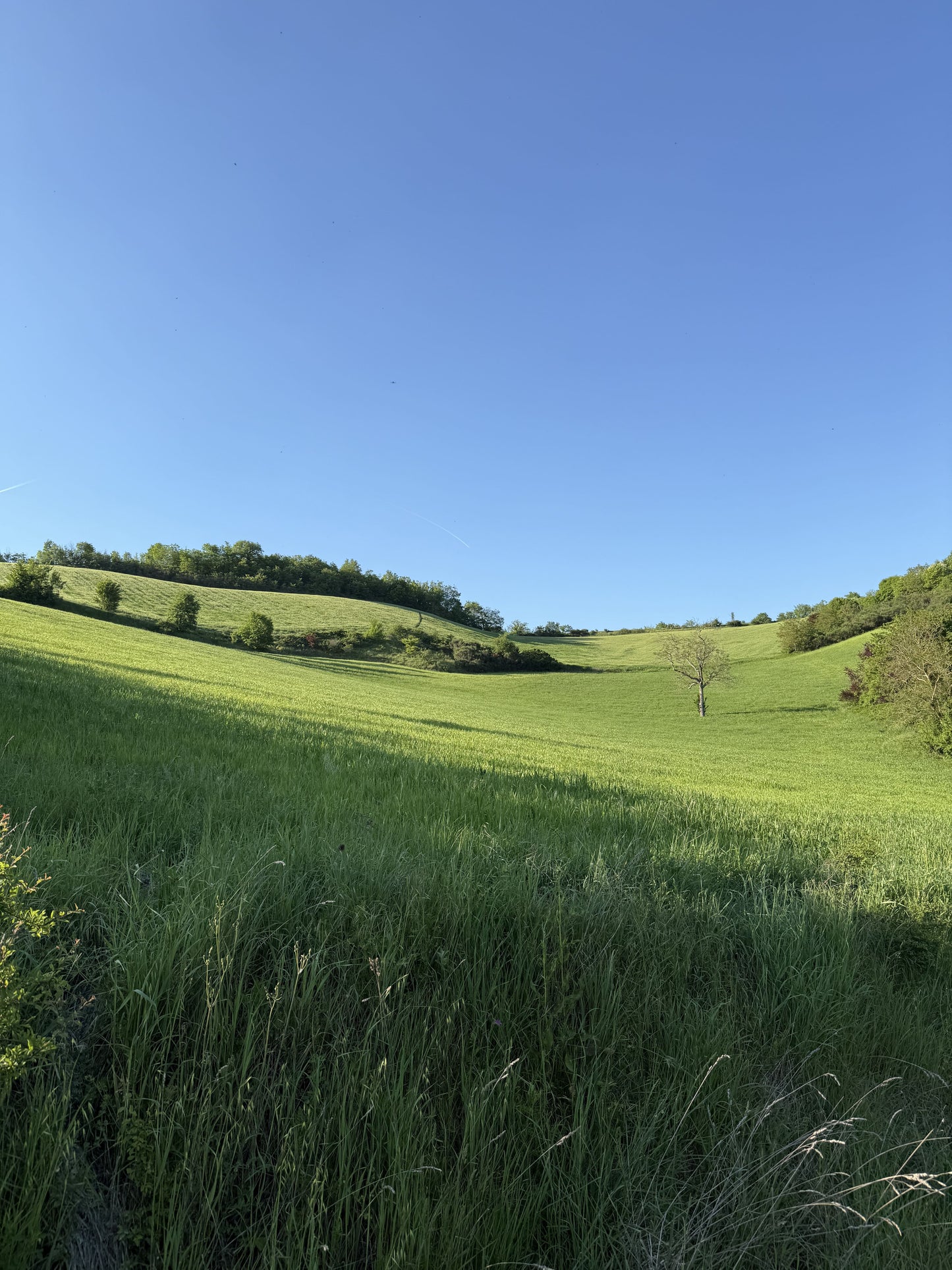 Agricoltura biologica e rigenerativa con attenzione al suolo e alle rotazioni colturali