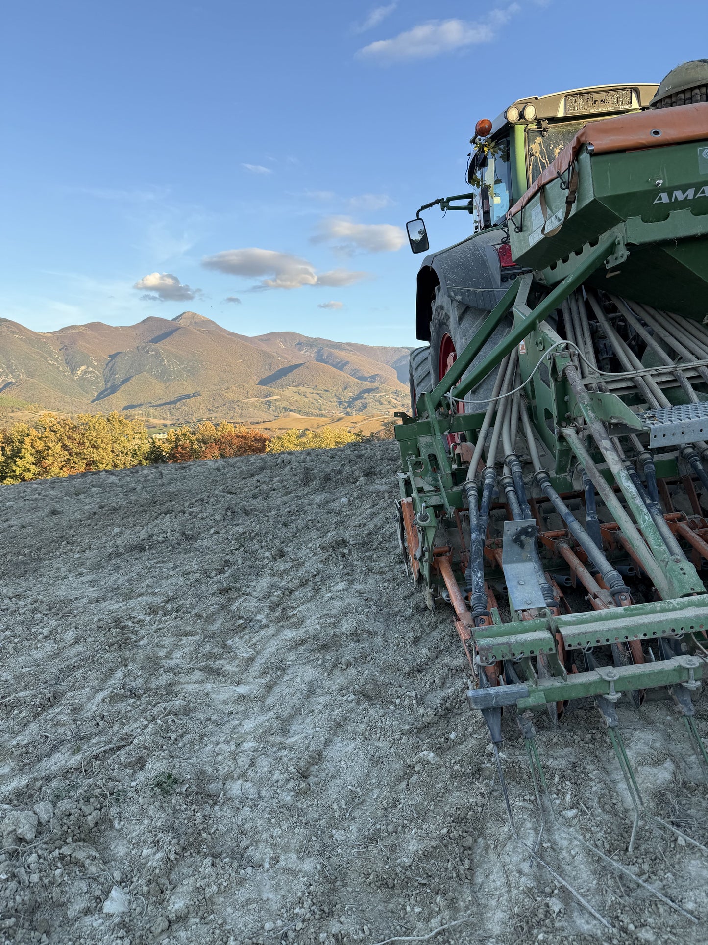 Grano italiano coltivato e filiera agricola della pasta artigianale