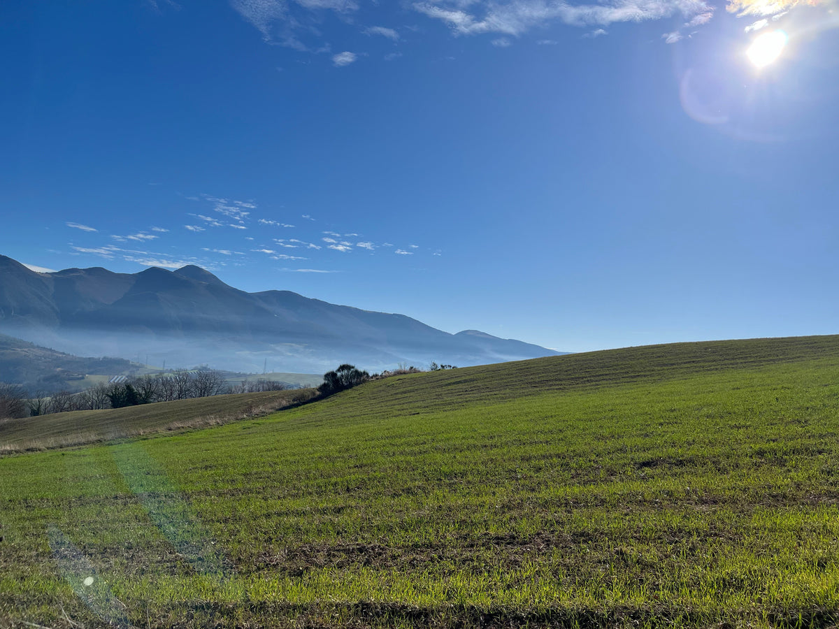 Azienda Agricola Biologica Luca Bianchi a Fabriano