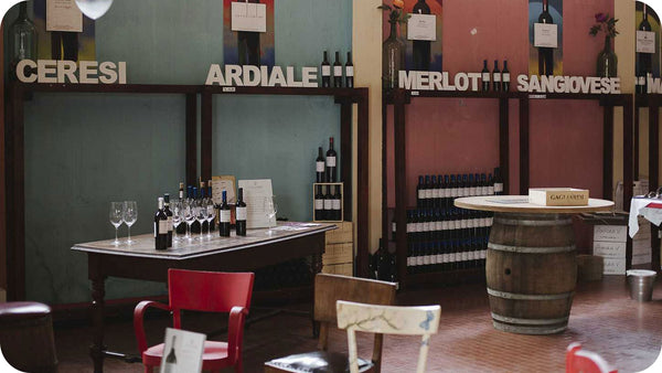 Vini Gagliardi Matelica Verdicchio