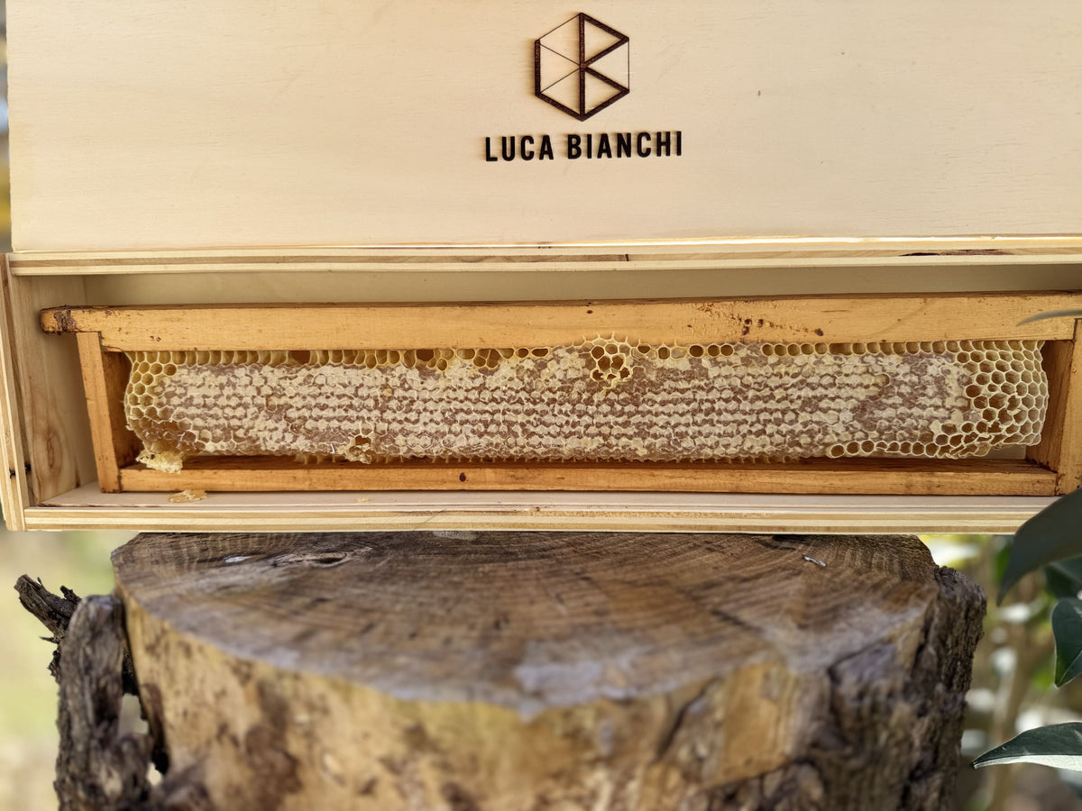 Miele biologico Luca Bianchi per forniture a ristoranti e rivenditori